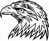 Eagle Clip Head Vector Drawing Line Newdesign Via Soaring sketch template