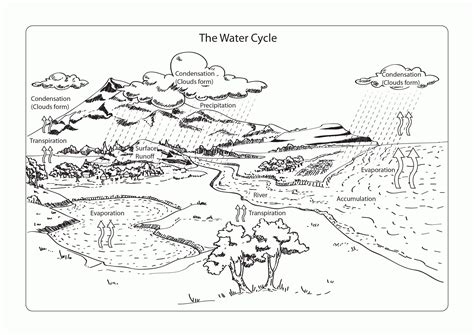 water cycle  shown  black  white