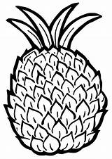 Pineapple Coloring Pages Fruits Victoria Kids Printable Parentune Worksheets sketch template