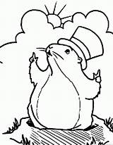 Woodchuck Groundhog Coloring Pages 123coloringpages Animal sketch template