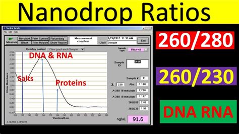 nanodrop ratios explained  ratio dna  ratio rna