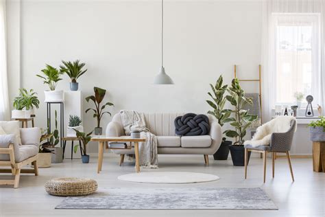 easy living room feng shui tips   ultimate good vibes