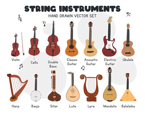string instruments vector set simple cute violin cello double bass
