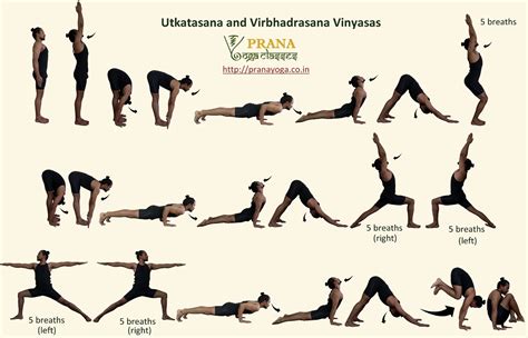 sun salutation  variations yoga poses