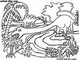 Prehistoric Dinosaure Animaux Dinosaurs Coloriages sketch template
