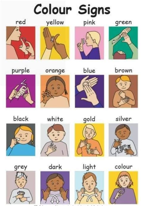 colors baby sign language sign language sign language phrases