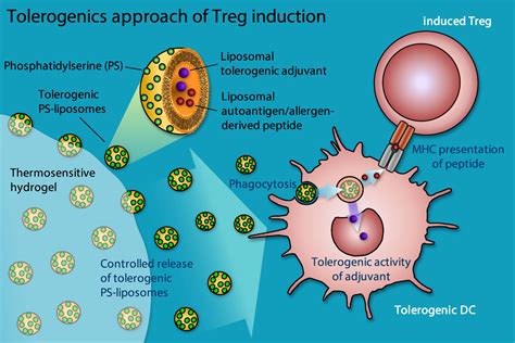 tolerizing ps liposomes tolerogenics sarl