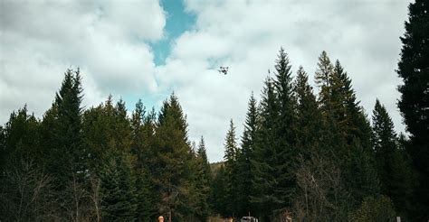 fly  drone   national park  insider