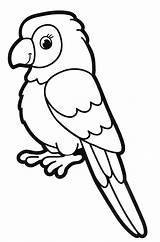 Papagei Zeichnen Malvorlagen Jährige Merken Piraten sketch template