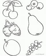 Fruits Bestcoloringpagesforkids Berries Cowberry Cornucopia sketch template