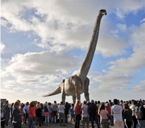muscles    largestlongest dinosaurs hold  head