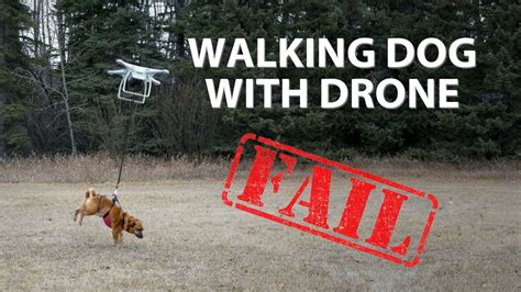 walking dog  drone fail youtube