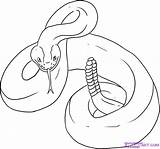 Rattlesnake Draw Clipart Coloring Clip Library Snakes Rattlesnakes sketch template