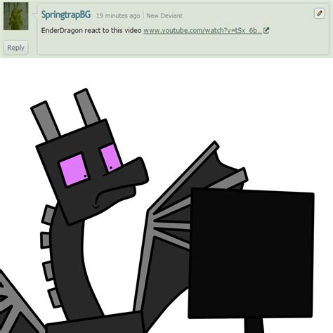 ender dragon  wither   babywitherboo  deviantart