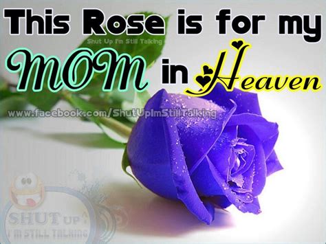 this rose is for my mom in heaven and her name was rose