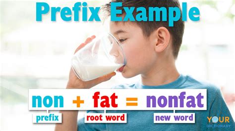 affixes definition examples  types yourdictionary