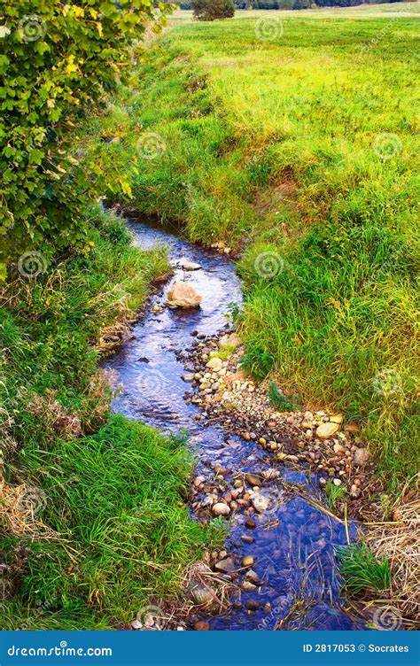 small creek stock image image  creek runnel green