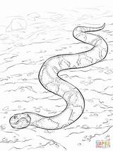 Snake Copperhead Serpiente Supercoloring Cabeza Anaconda Cobre Moccasin Serpientes Coloriage Cascabel Snakes Dibujar Aboriginal Serpent Imprimir Reptiles Racer Imprimer Víbora sketch template