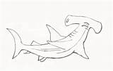 Shark Drawing Draw Hammerhead Kids Step Sharks Easy Coloring Drawings Clipart Animal Steps Pages Clipartbest Jos Gandos Shading Howtodrawanimals Choose sketch template