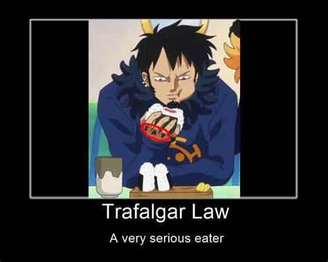 Trafalgar Law Memes One Piece Amino