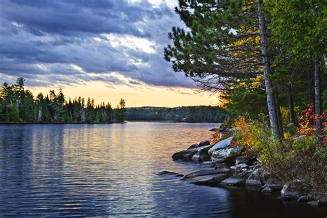 algonquin park campgrounds  helpful guide  camping  algonquin