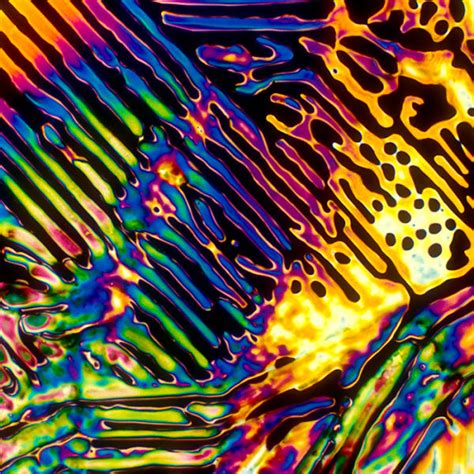 a few popular alcoholic drinks under a microscope 40 pics