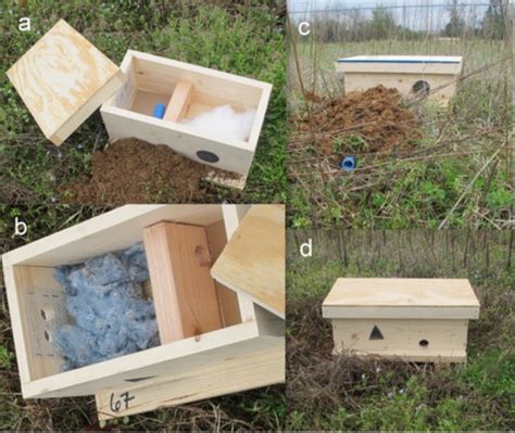 artificial nest box design  treatments employed   study   scientific