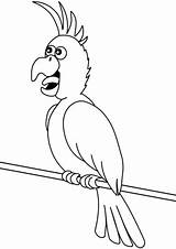 Parrot Coloring Cartoon Pages Parrots Supercoloring Printable African Grey Two Attention Loudly Seeking Drawing Categories sketch template