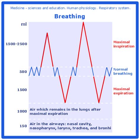 conceptdraw samples science and education — medicine