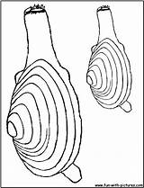 Clam Coloring Pages Results sketch template
