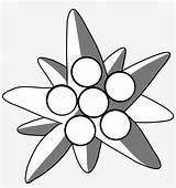 Edelweiss Alpina Clipartmag Edelweis Hitam Putih Bunga Pixabay Hiclipart Simbolo sketch template