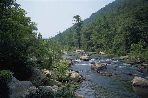 filefast mountain river flowing   conifer forestjpg