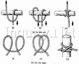 Knots Rope Knot Tie Hitch Clove Scout Scouting Simpul Lashings Used Survival Line Them Hammock sketch template