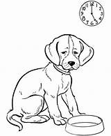 Dog Hungry Coloring So Pet Waiting Meal His sketch template