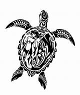 Turtle Tribal Sea Cliparts Library Clipart Drawing Tattoo sketch template