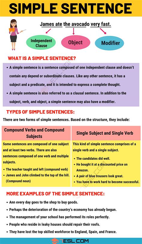 simple sentence examples  definition  simple sentences esl