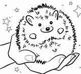 Hedgehogs Ricci sketch template