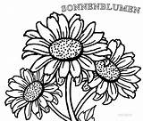 Sonnenblumen Sunflowers Girasoli Ausmalbilder Mandala Realistische Gogh Cool2bkids Clipartmag sketch template