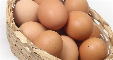 rueyada yumurta toplamak ne anlama gelir diyadinnet rueya tabirleri