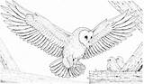 Kids Owls Snowy Bestappsforkids Colorings Getcolorings sketch template