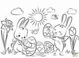 Pascua Colorear Conejitos Huevos Bunnies Conejo Supercoloring Preciosos sketch template