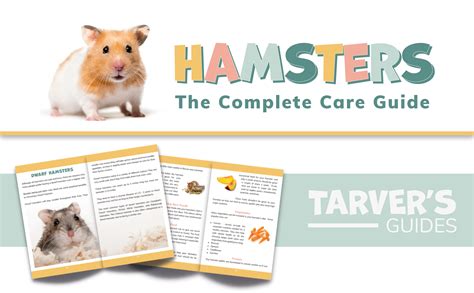 Hamsters The Hamster Care Guide