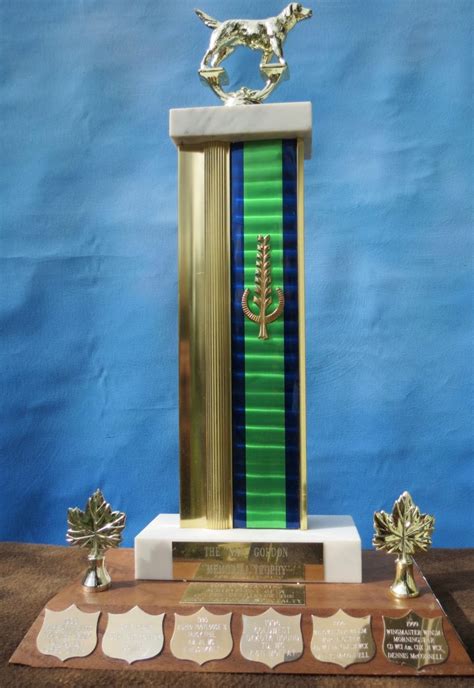 the nan gordon memorial trophy golden retriever club of