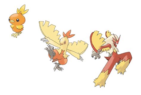 torchic    evolved edited    official