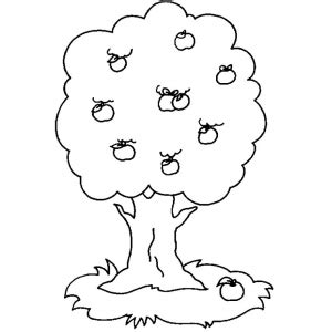 trees  printable coloring pages  kids