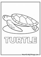 Turtles Thrive Underwater Iheartcraftythings sketch template