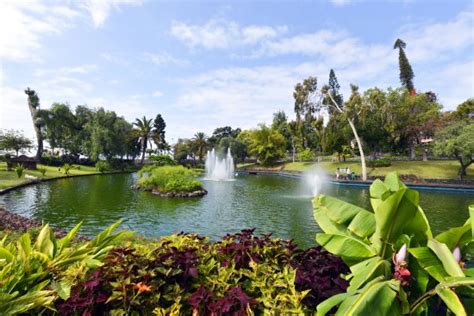 santa catarina park agora madeira