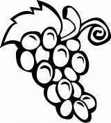 Uva Grappolo Disegnidacolorareonline Grapes Vine sketch template