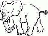 Coloring Pages Kids Elephant Elephants Printable sketch template