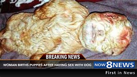 woman gives birth to puppies in western cape after having